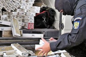Percheziţii ale Gărzii de Coastă, la Constanţa şi Suceava, şi persoane reţinute pentru contrabandă cu ţigări 
