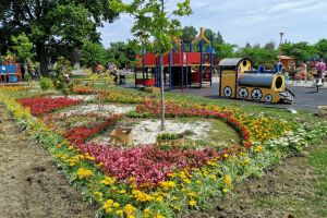 Explozie de culoare!: Peste 30 de mii de flori, plantate in Tara Piticilor din Parcul Tabacarie (galerie foto)