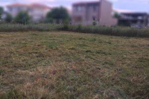 Constanta: Ce amenzi risca proprietarii de terenuri care nu mentin curatenia (galerie foto)