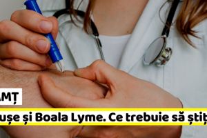 NEAMȚ: DSP: Ce trebuie să ştiţi despre căpuşe şi Boala Lyme