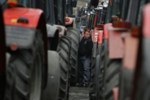 Tractoare furate cu tirul, din Germania. 