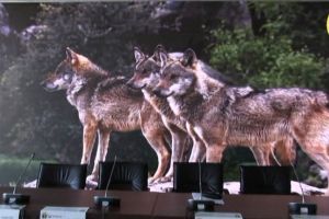 Noul conducator vrea un alt antrenor