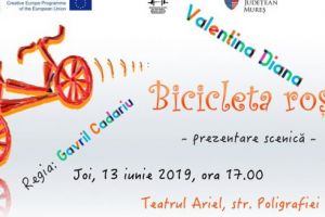 Prezentare scenică a piesei „Bicicleta Roşie”, în cadrul Ariel 70