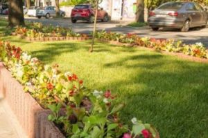 Unde vor răsări cele 35.000 de fire de begonii, principalele artere din Capitală