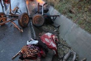 Căruţaşi grav răniţi de calul speriat