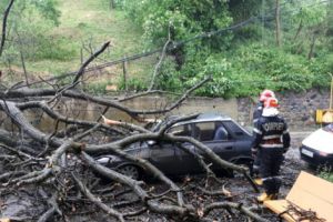 Furtuna a făcut prăpăd la Curtea de Argeş!