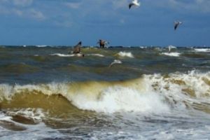 Începe sezonul estival. Marea Neagră este plină de bacterii periculoase. Ce spun specialiştii