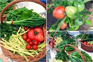 FOTO. Coşuri cu legume de sezon, muncite de tinerii străzii, de vânzare