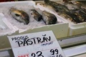 Peşte stricat, la raft?! Zeci de magazine din Capitală au primit amenzi usturătoare