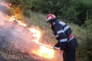 Incendiu de amploare in apropierea municipiului Tulcea. Misiunea pompierilor, ingreunata de terenul din zona