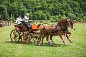 Zilele Ecvestre Covăsnene la Olteni  Cel mai mare eveniment ecvestru din Transilvania