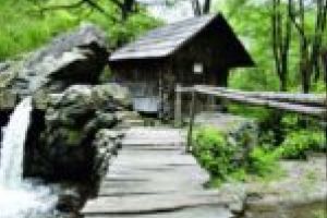 Localitatea Eftimie Murgu va deveni, peste noapte, „comuna veselă” a judeţului Caraş-Severin! Zeci de case vor fi zugrăvite în cadrul proiectului „Color the Village”!