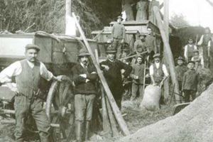 „Un sabotor al treerişului”