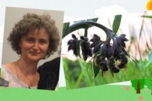 Bucuresti: Seminar despre “Apiterapie altfel” – Performanta si dinamism prin hrana albinelor