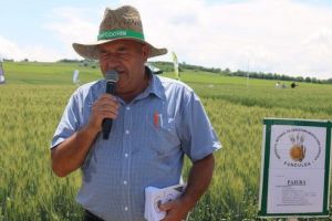 Ziua Grâului 2019. Cinci soiuri de grâu de la Fundulea