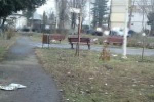 Firmele din Braila care fac “din gunoi, bani” primesc mai multe amenzi decat maturi date pe trotuare