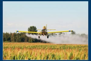 Dezinsecţie împotriva ţânţarilor, la Satu Mare. Anunţul Primăriei