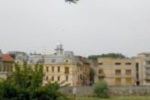 Țânţarii, bată-i vina, au invadat Lugojul! Primăria mai aşteaptă până să facă dezinsecţia aeriană sau la sol