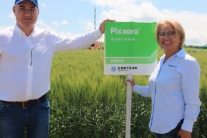 Ziua Grâului 2019. Corteva Agriscience, soluţii de ultimă generaţie