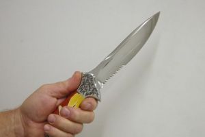 Era căutat în Franţa pentru furt cu violenţă. Infractorul a fost prins la Călimăneşti