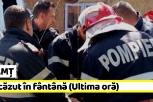 NEAMȚ: Ied căzut în fântână. Intervin pompierii (Ultima oră)