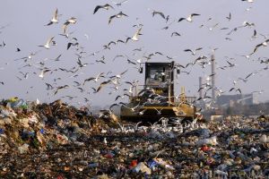 Consiliul Local a aprobat scoaterea la licitaţie a serviciilor de colectare a gunoiului din Oradea