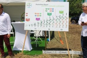 Ziua Grâului 2019. Produse de calitate de la Bayer Crop Science