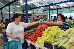Agricultură la apă! Ca să-şi salveze recoltele compromise de vreme, fermierii din Bihor bagă chimicale în plante