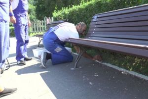 Primăria Braşov cumpără mobilier urban de un milion de lei