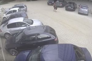VIDEO FOTO – Hoţ în acţiune în plină zi pe strada Doamna Stanca. Fură nestingherit şi pleacă