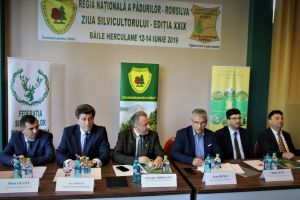 Silvicultorii români şi-au luat angajamentul de ziua lor să planteze noi păduri