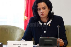 Angelica Fădor: Parlamentarii PSD şi ALDE pot să îndrepte răul făcut votând moţiunea de ...