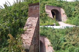 FOTO/ ȘTIREA TA: ”Vizitaţi cetatea aztecă, pierdută printre buruieni” – o nouă idee de promovare a municipiului Alba Iulia