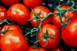 Ministerul Agriculturii. Cât de sigure sunt roşiile româneşti pentru consum 