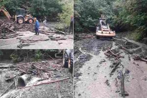 FOTO. Furtuna a făcut dezastru în Apuseni. La Mogoş, un drum judeţean blocat şi stâlpi de curent căzuţi la pământ