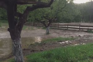 Cât de rău stă Primăria Bistriţa cu banii? Atât de rău încât nu poate face nici măcar asta (VIDEO)