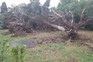 Furtuna care a lovit Clujul nu a făcut victime. În schimb a înroşit liniile 112! - VIDEO