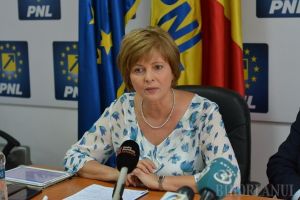 Florica Cherecheş o acuză pe Carmen Dan că încurajează violenţa împotriva femeilor: „Răspuns halucinant” al ministrei după afirmaţia revoltătoare a unui şef de Poliţie