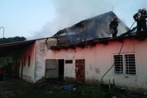 Incendiu in judetul Neamt. O fosta ferma s-a facut scrum. 40 de butelii de oxigen, evacuate(galerie foto)