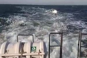 Iaht în derivă, cu patru români la bord, salvat de poliţiştii de frontieră de la Mangalia 