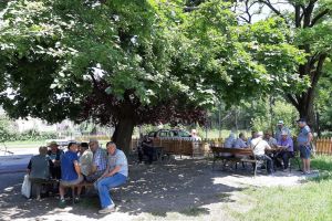 Creţu: Cei care joacă şah şi cărţi în parcul de lângă Big să îşi facă nevoile acasă dacă nu vor să plătească