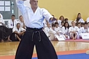 ACUM – Valeca a făcut o demonstraţie de ARTE MARŢIALE!