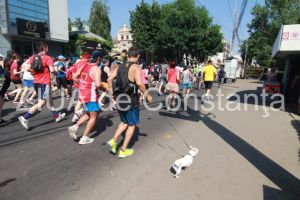 Imagini de la eveniment: Un barbat, alergare alaturi de catelul sau la Crosul Ziua Olimpica, de la Constanta! (galerie foto)