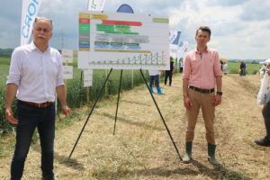 Ziua Grâului 2019. Innvigo, jucător nou pe piaţa protecţiei plantelor