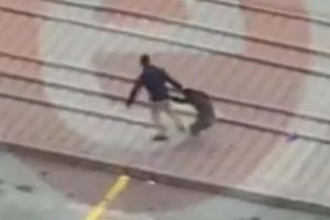 Femeie târâtă şi bătută pe stradă în Piteşti. Scenele şocante au ajuns virale - Video