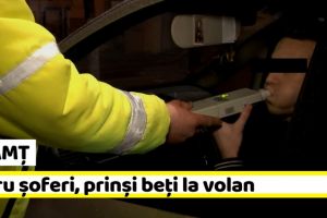 NEAMȚ: Patru şoferi, prinşi beţi la volan
