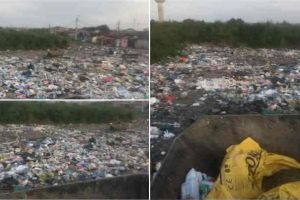 FOTO, VIDEO ȘTIREA TA| Invazia de deşeuri din Lumea Nouă continuă: “Nu se face nimic din nici o parte”