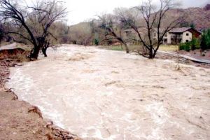 Cod portocaliu de PLOI TORENŢIALE. Peste 20 de localităţi din Argeş AFECTATE!