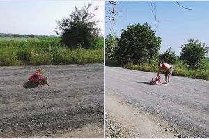 FOTO. Protest în judeţ. Sătmărenii au plantat flori pe Autostrada Codrului