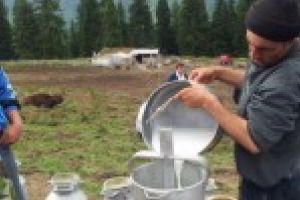 In atentia producatorilor de lapte